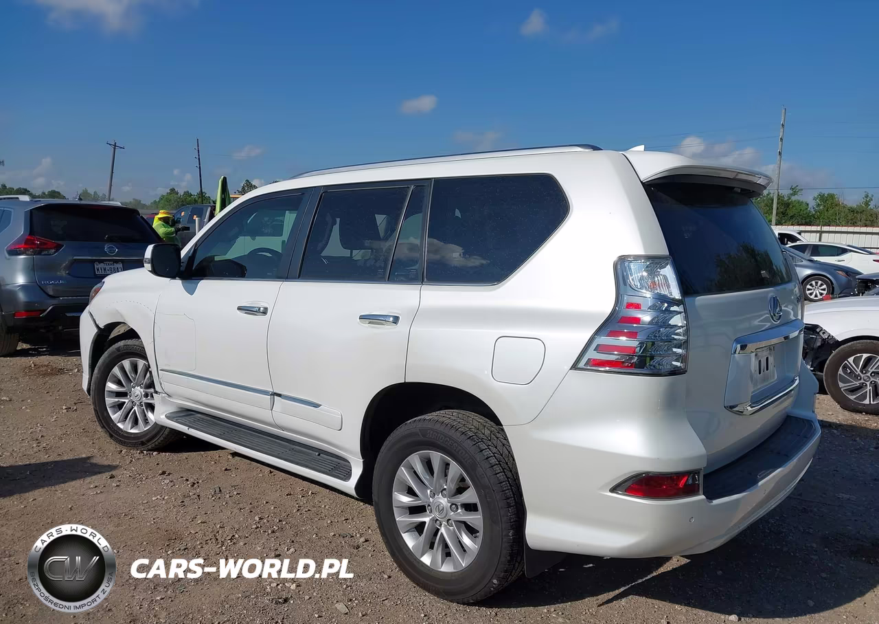 2019 Lexus Gx 460 Premium VIN:JTJBM7FX7K5218238 - 3