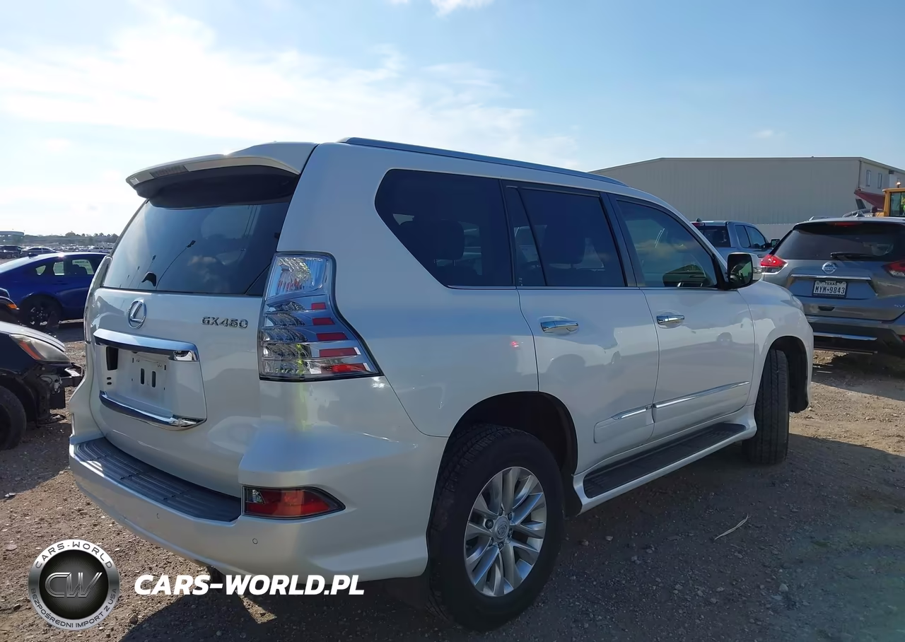 2019 Lexus Gx 460 Premium VIN:JTJBM7FX7K5218238 - 4