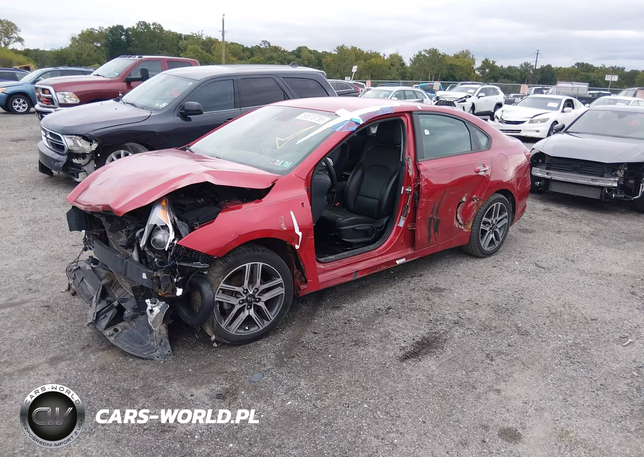 2019 Kia Forte S VIN:3KPF34AD3KE013815 - 2