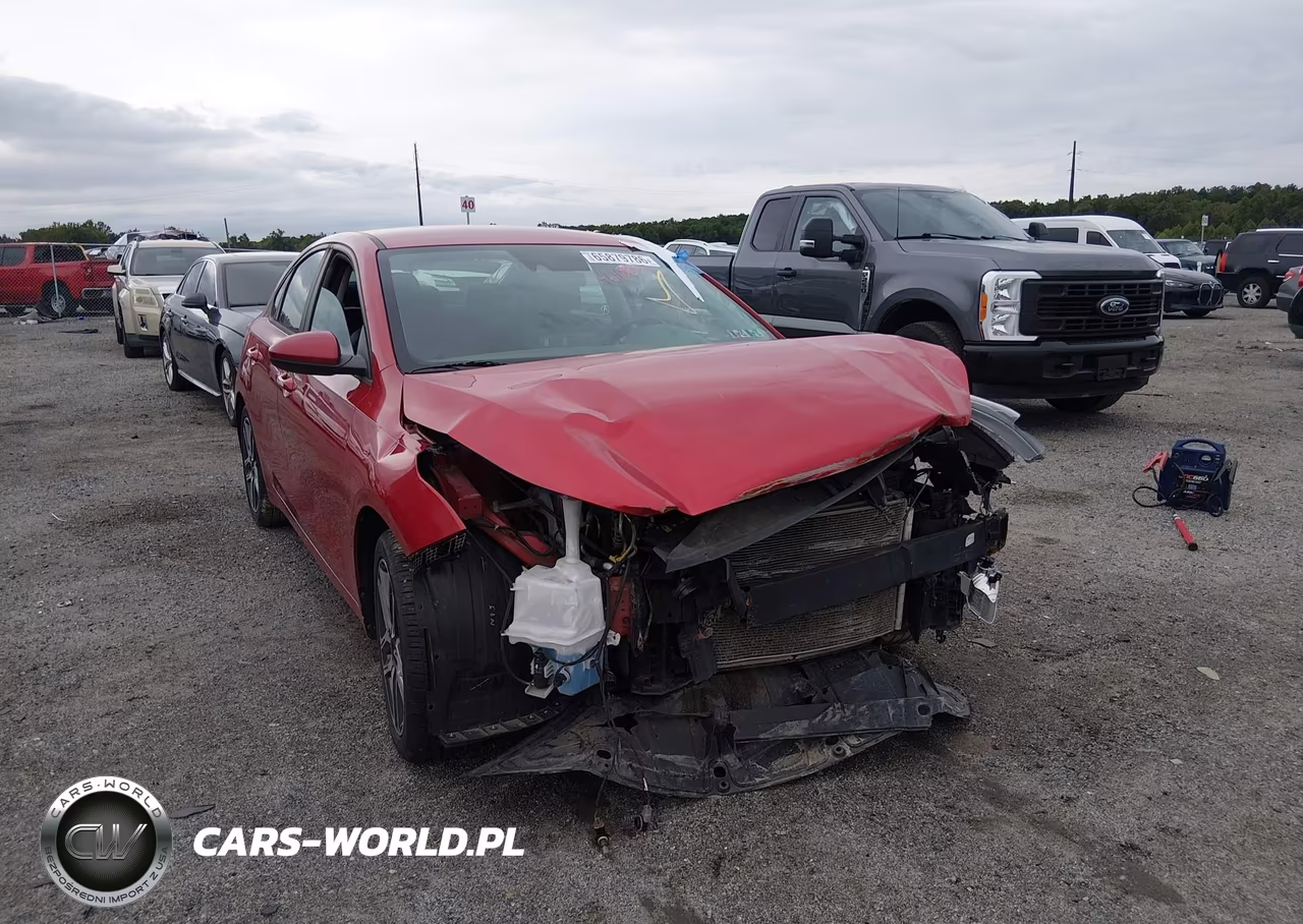 2019 Kia Forte S VIN:3KPF34AD3KE013815 - 20