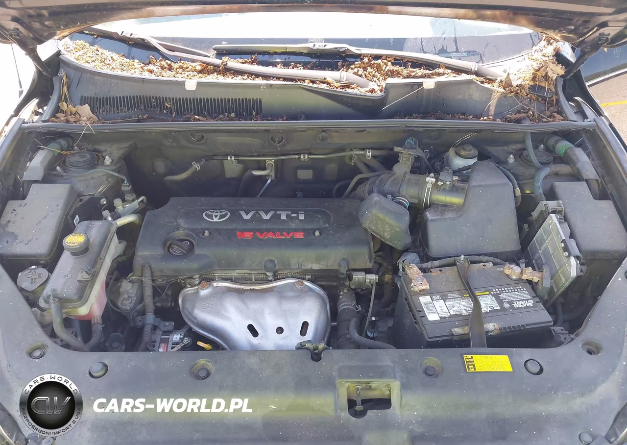 2008 Toyota Rav4 Sport VIN:JTMZD32V985101249 - 10