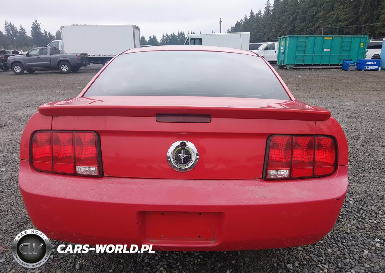 2007 Ford Mustang V6 Deluxe-V6 Premium VIN:1ZVHT80N475349919 - 17