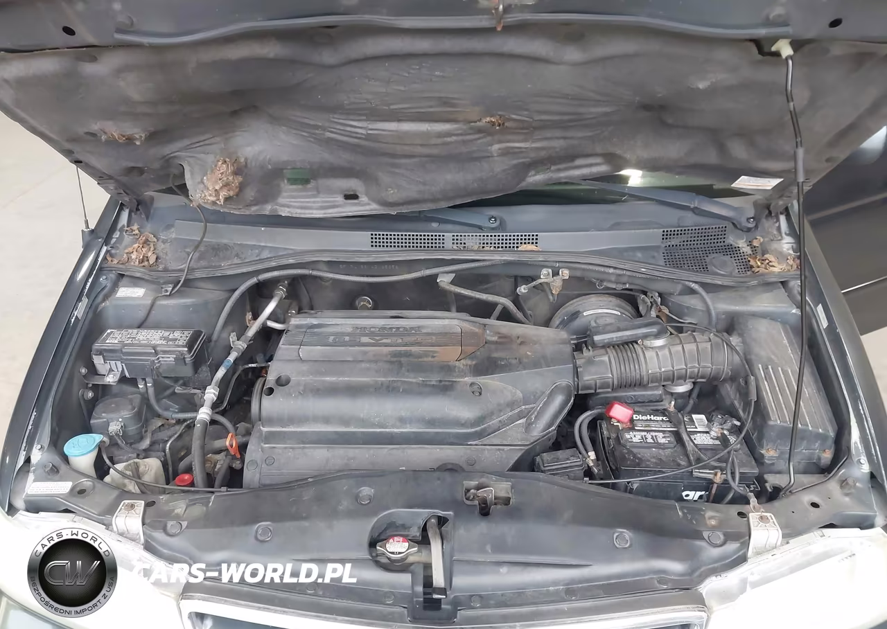 2004 Honda Odyssey Ex VIN:5FNRL18614B035358 - 10