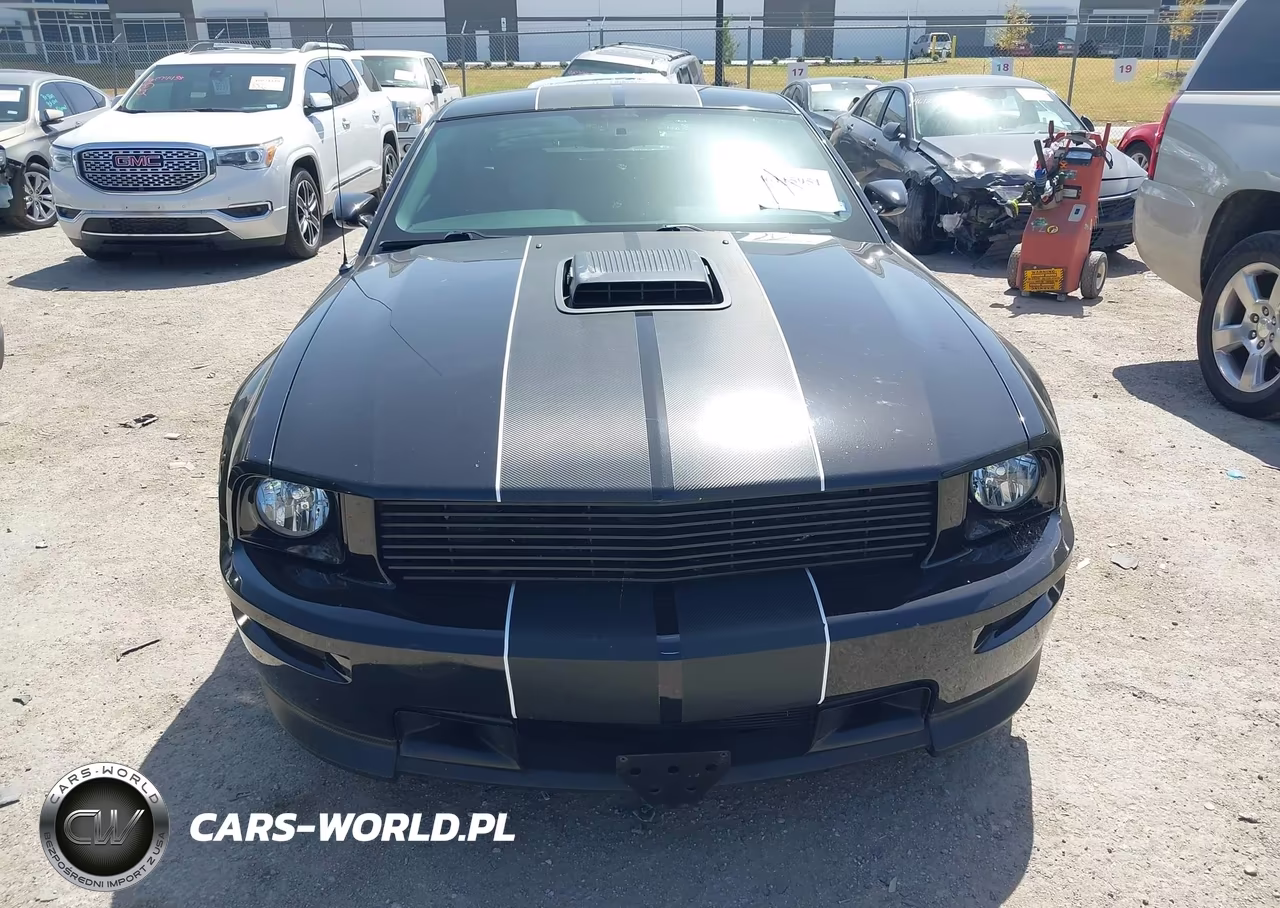 2007 Ford Mustang Gt Deluxe-Gt Premium VIN:1ZVFT82H375258011 - 12