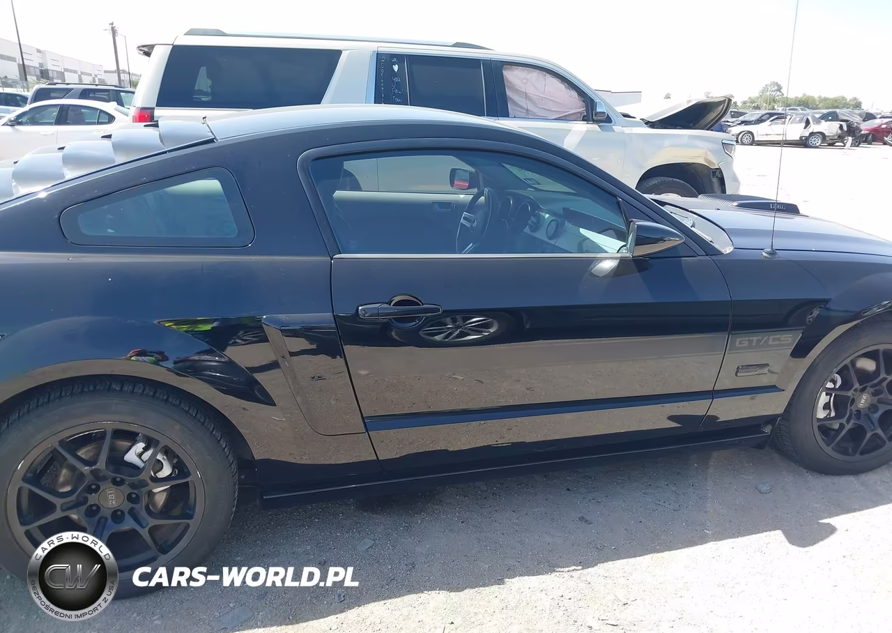 2007 Ford Mustang Gt Deluxe-Gt Premium VIN:1ZVFT82H375258011 - 13
