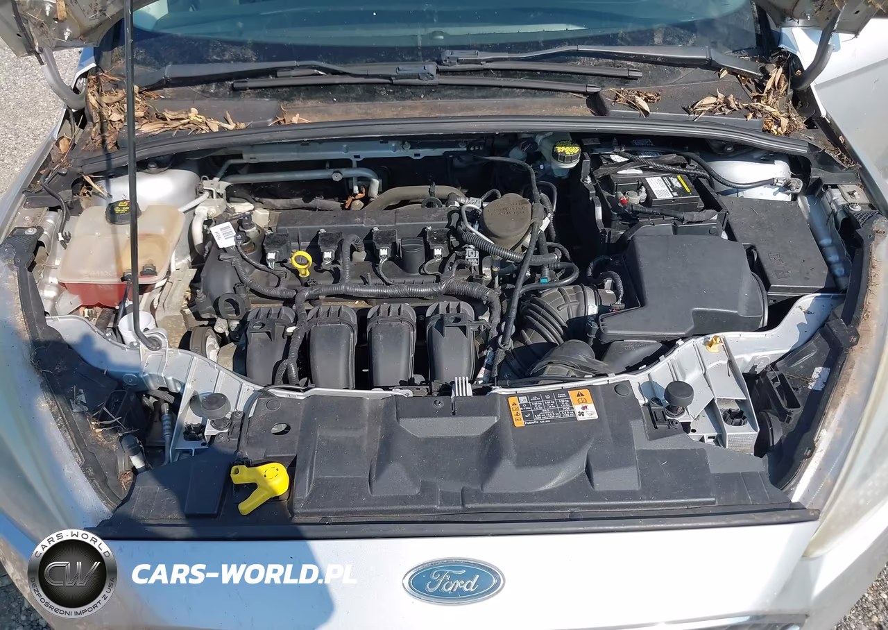 2016 Ford Focus S VIN:1FADP3E22GL248970 - 10