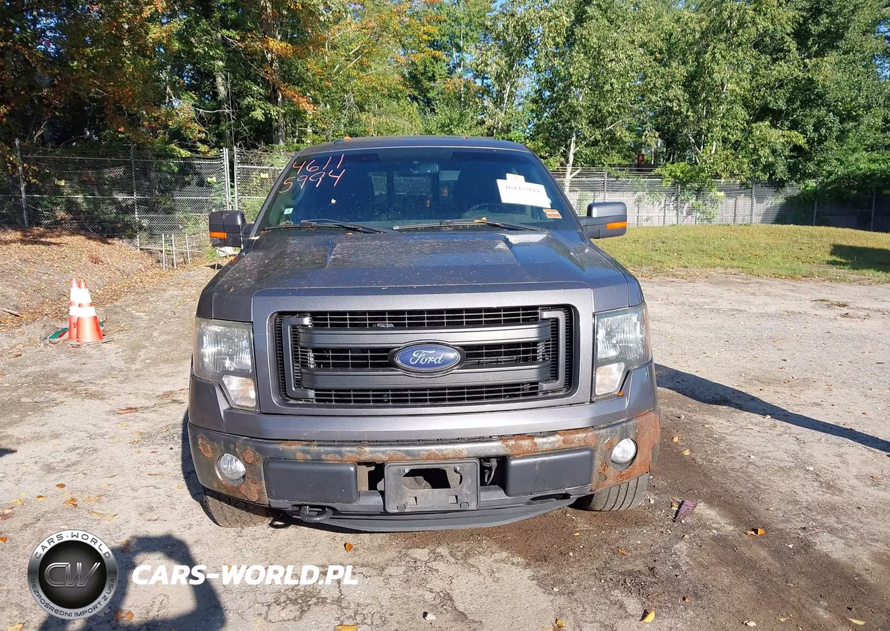 2013 Ford F-150 Fx4 VIN:1FTFW1EF1DFB24745 - 12