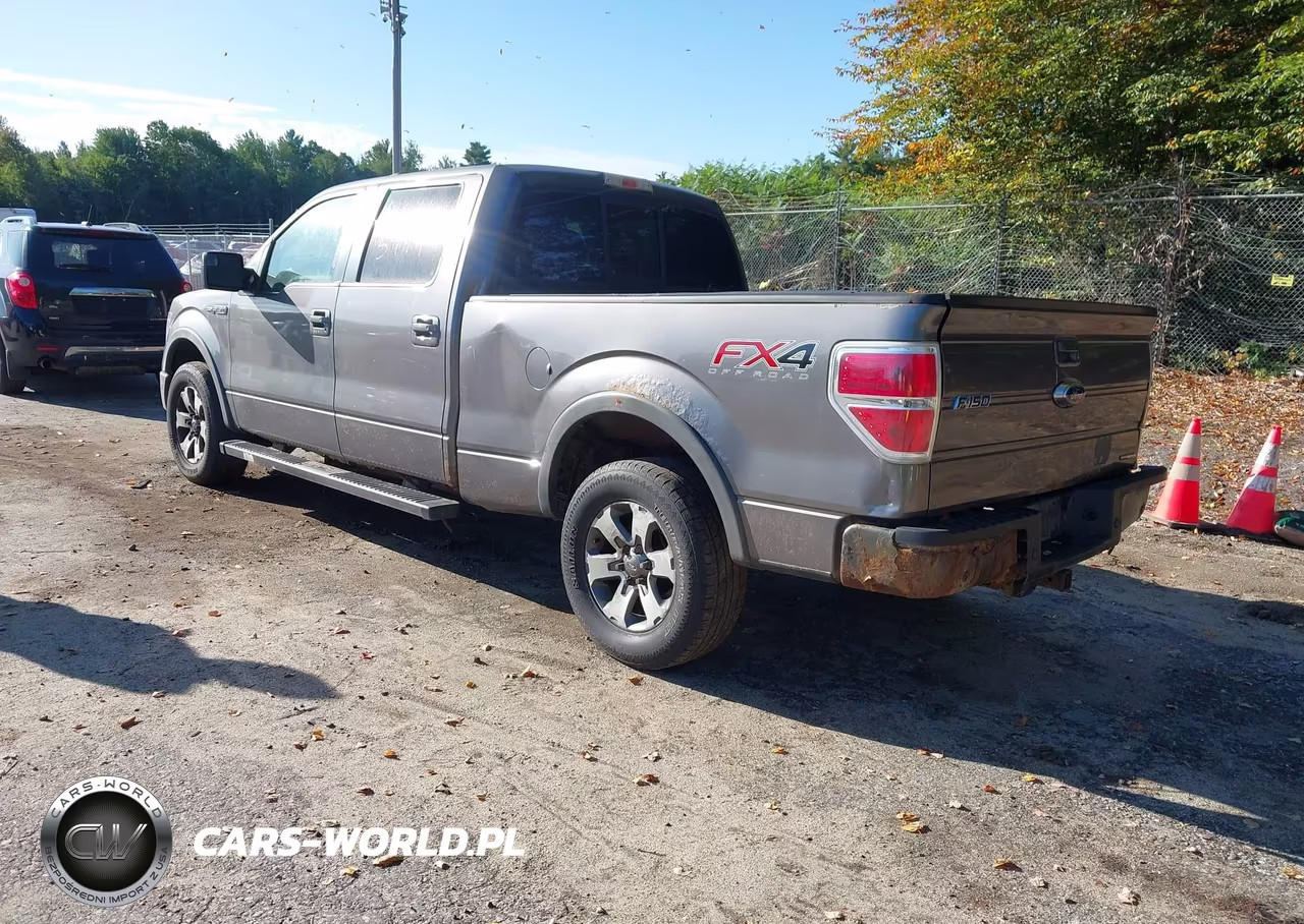 2013 Ford F-150 Fx4 VIN:1FTFW1EF1DFB24745 - 3
