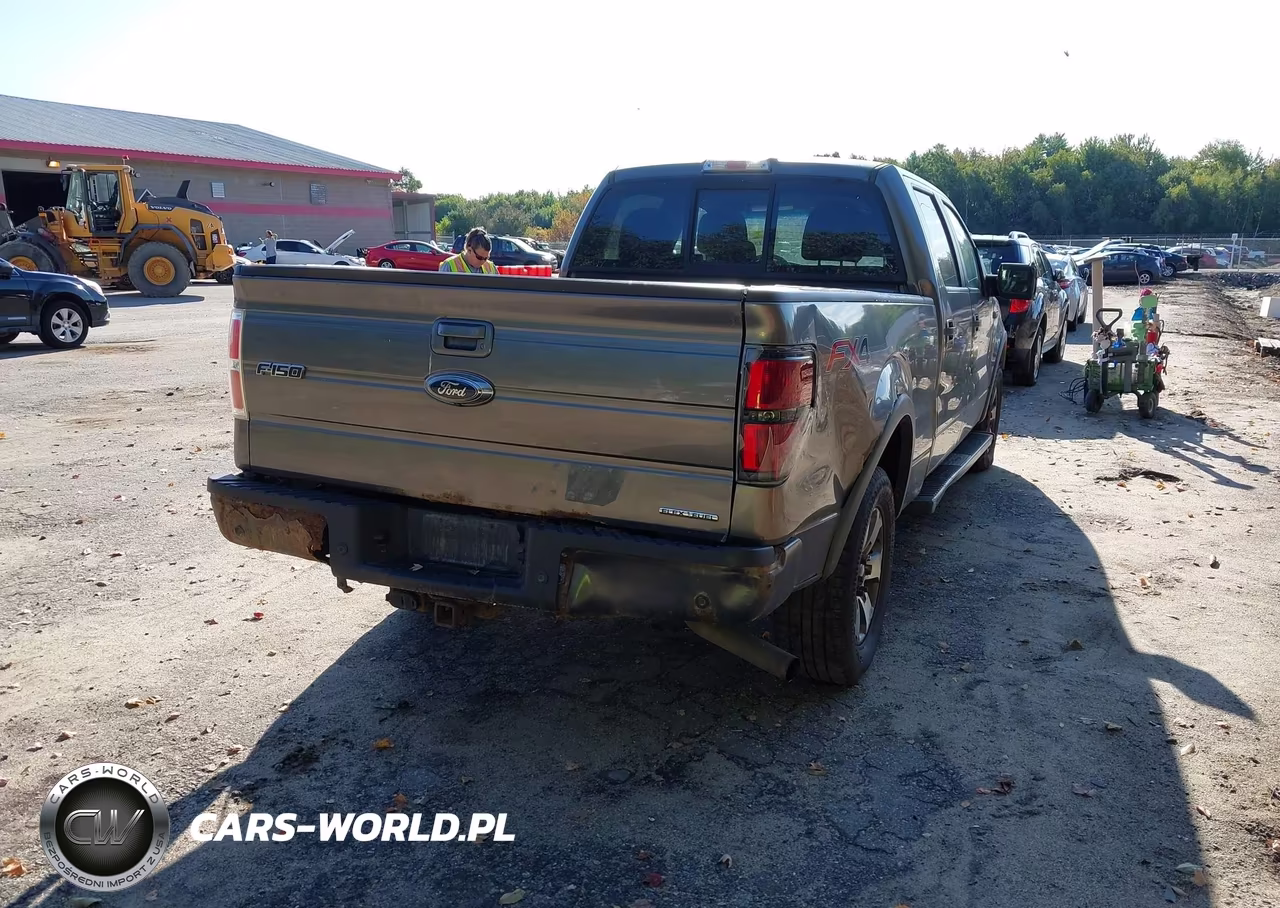 2013 Ford F-150 Fx4 VIN:1FTFW1EF1DFB24745 - 4