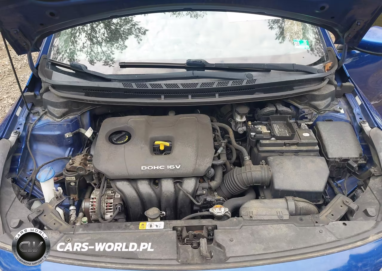 2017 Kia Forte Lx VIN:3KPFK4A7XHE011906 - 10