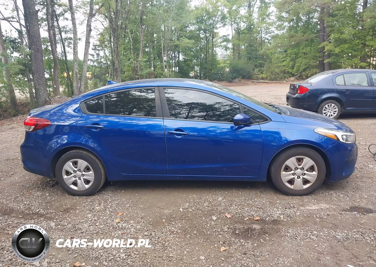 2017 Kia Forte Lx VIN:3KPFK4A7XHE011906 - 13