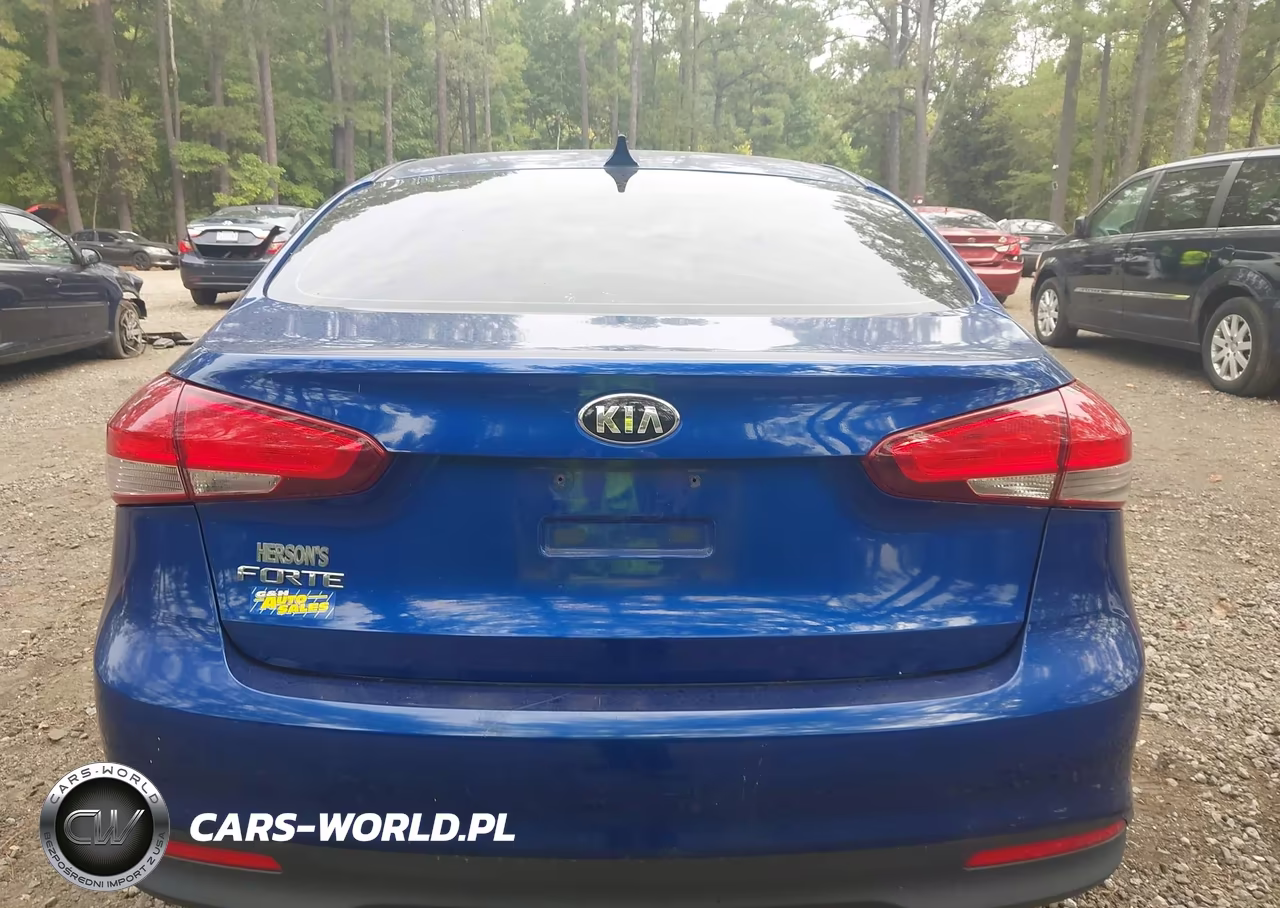 2017 Kia Forte Lx VIN:3KPFK4A7XHE011906 - 16
