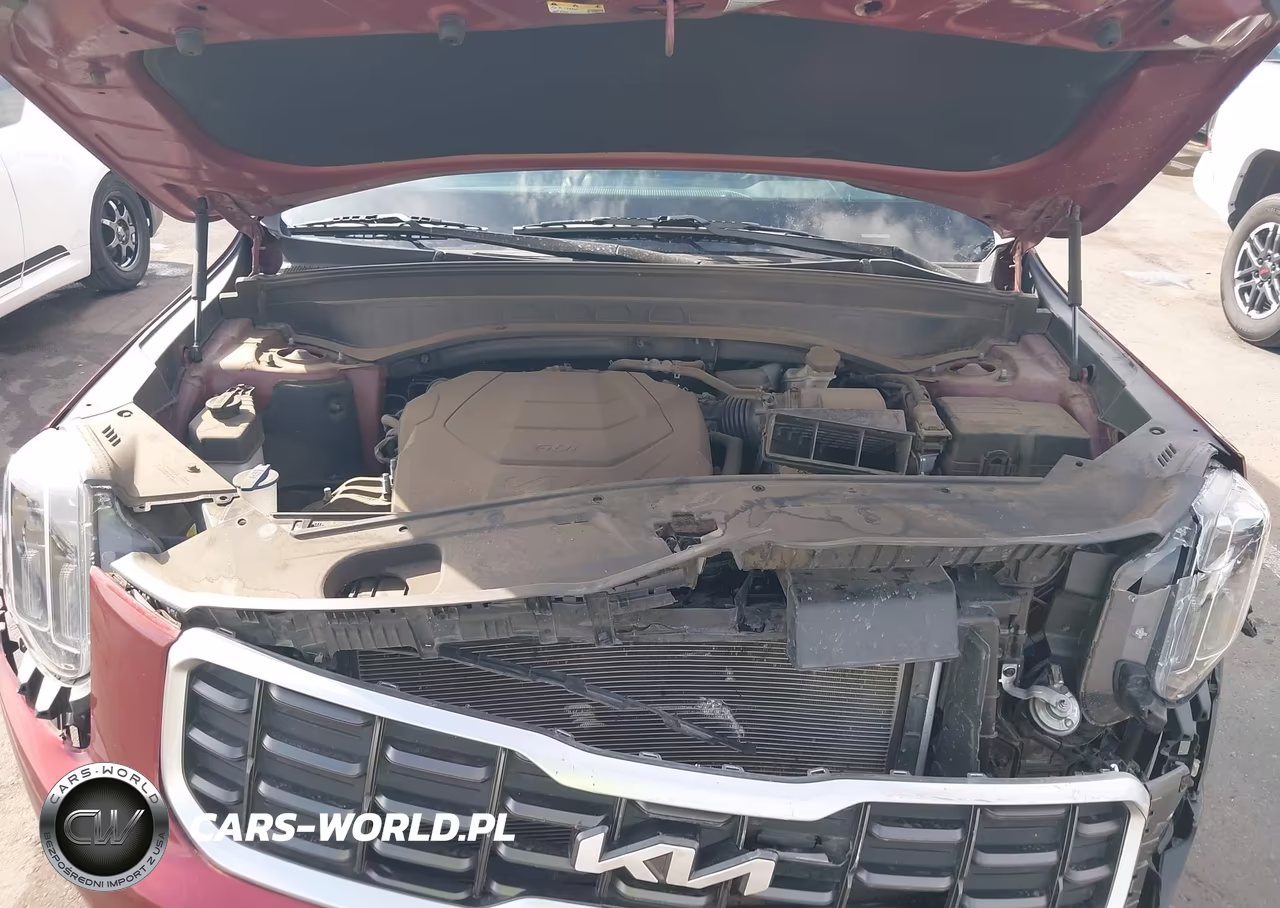 2023 Kia Telluride S VIN:5XYP64GC8PG346998 - 10