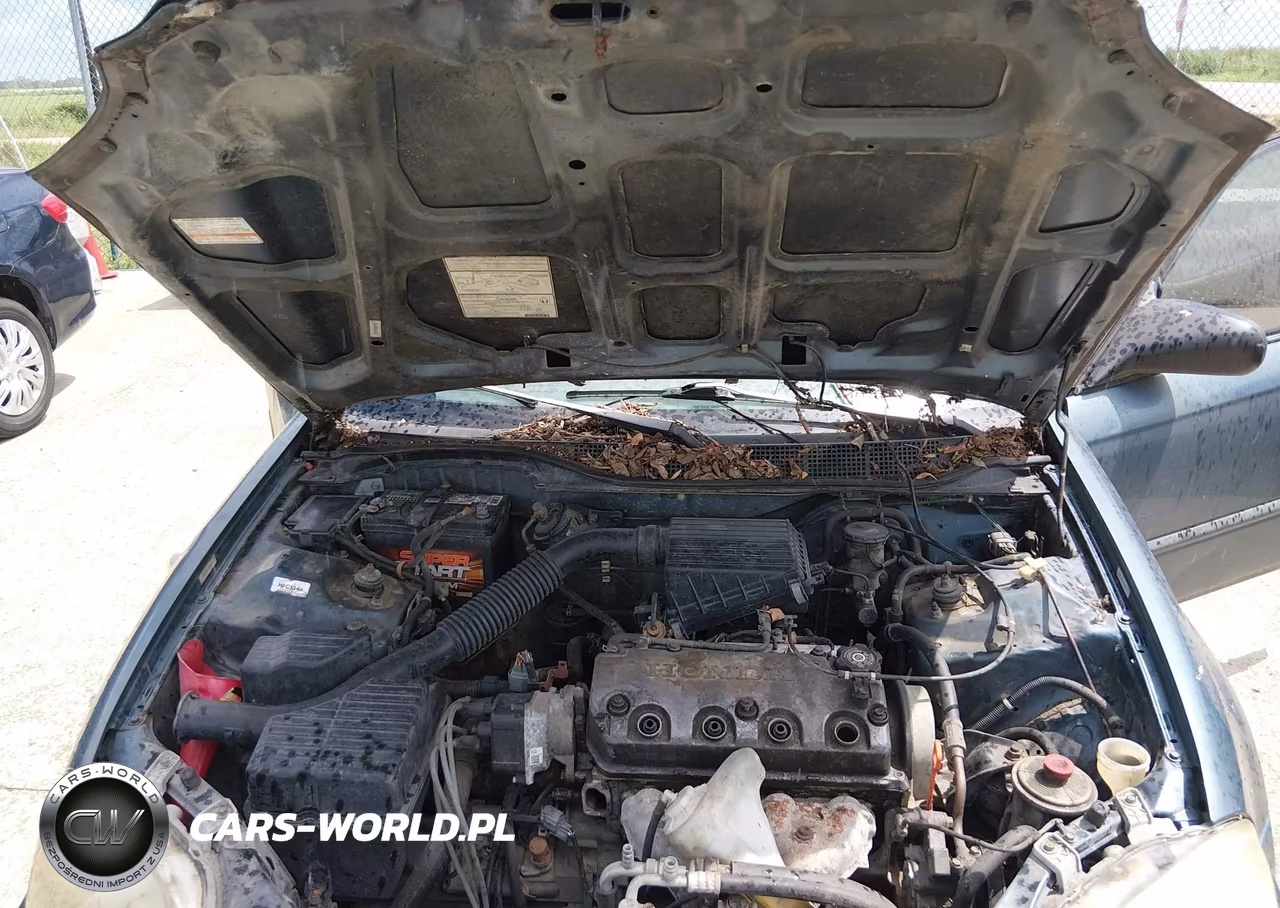 1997 Honda Civic Dx VIN:1HGEJ6626VL034787 - 10