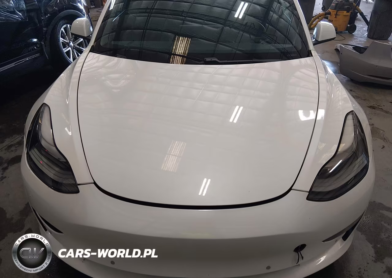 2021 Tesla Model 3 Long Range Dual Motor All-Wheel Drive VIN:5YJ3E1EB1MF938983 - 10
