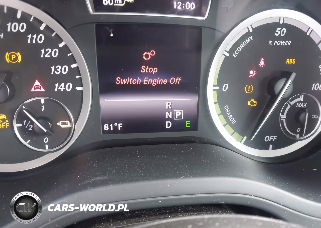 2014 Mercedes-Benz B-Class Electric Drive VIN:WDDVP9AB2EJ001700 - 12