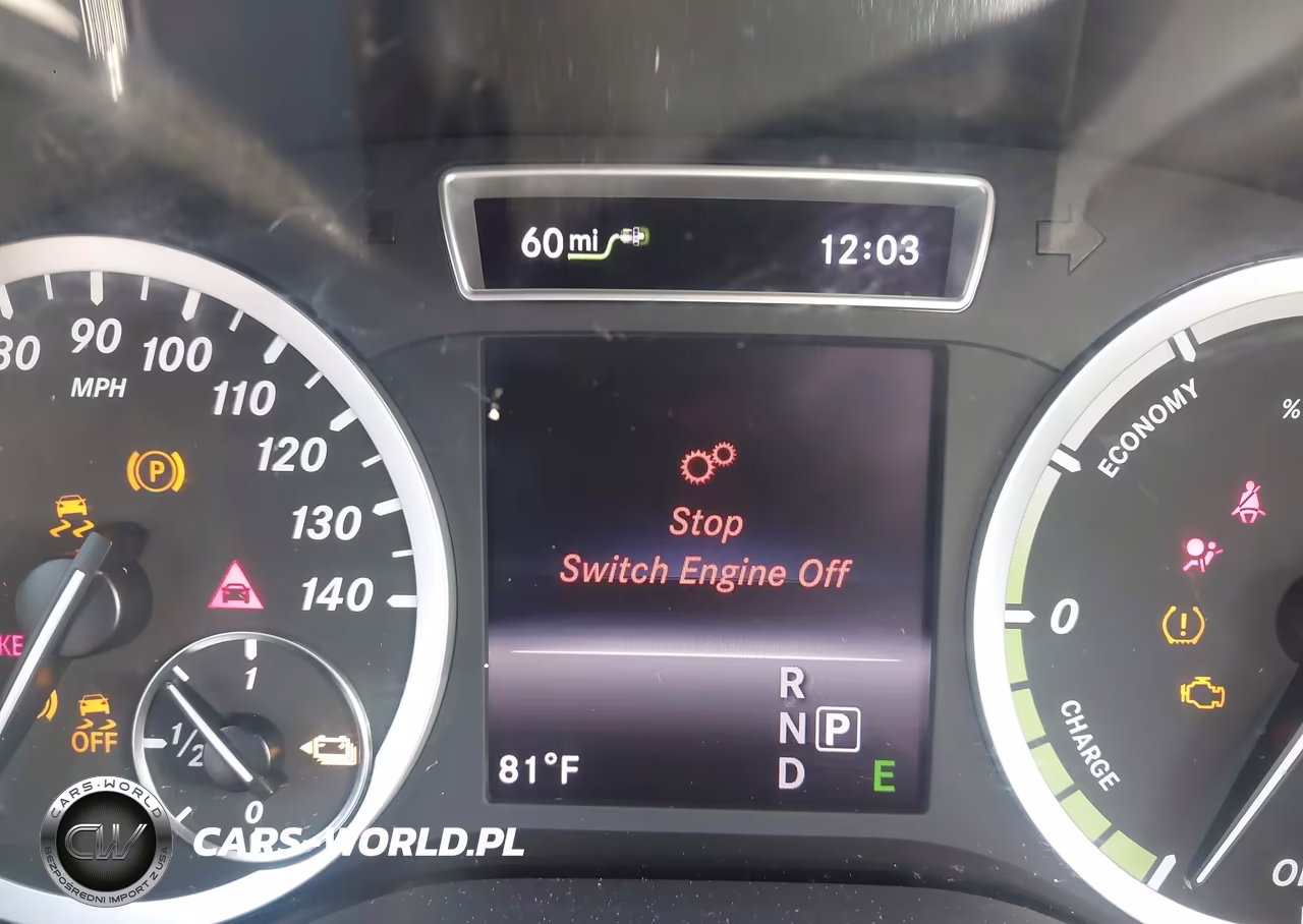 2014 Mercedes-Benz B-Class Electric Drive VIN:WDDVP9AB2EJ001700 - 13