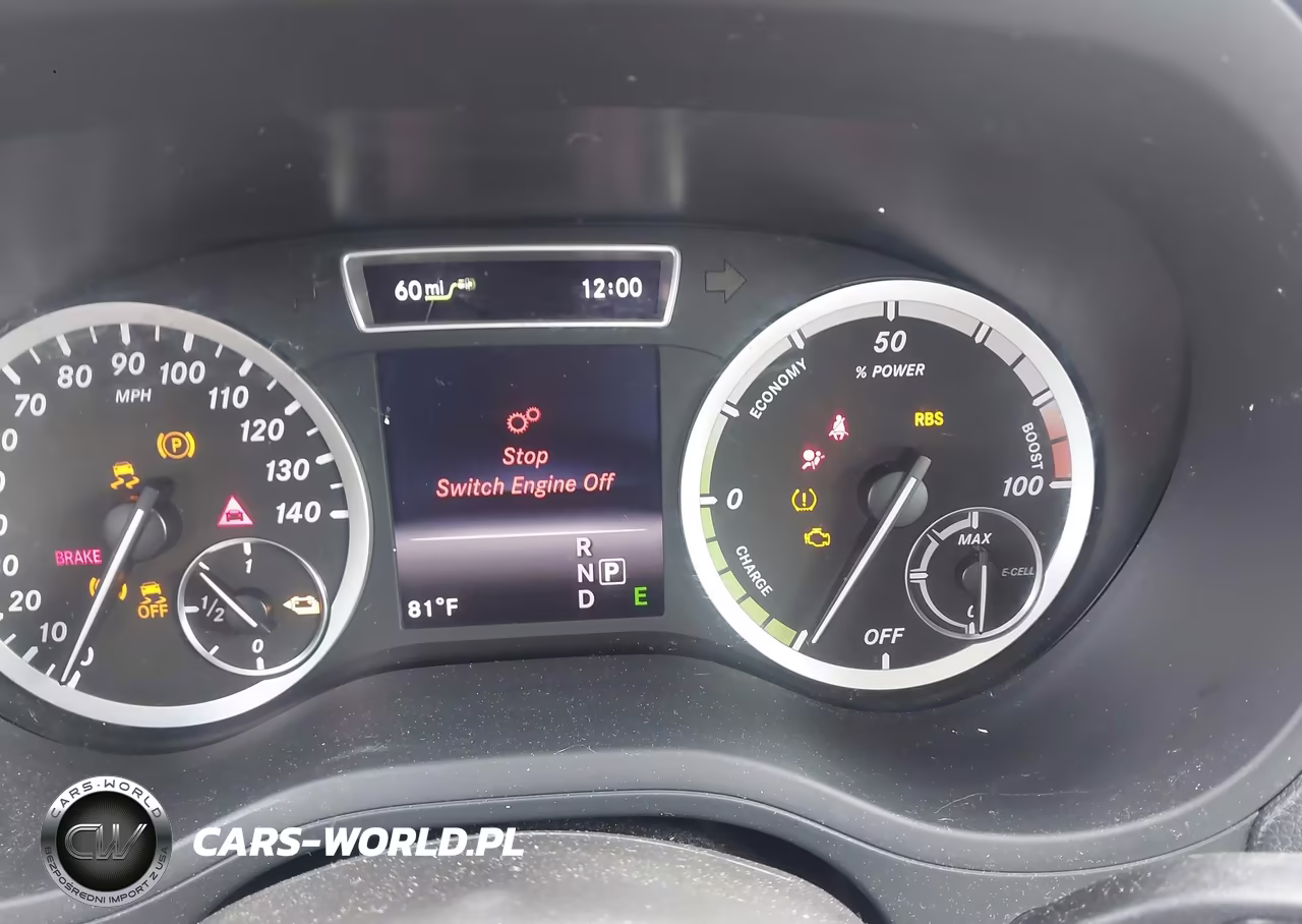 2014 Mercedes-Benz B-Class Electric Drive VIN:WDDVP9AB2EJ001700 - 14