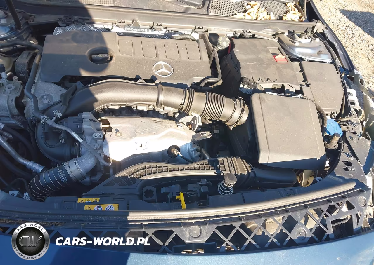 2019 Mercedes-Benz A 220 4Matic VIN:WDD3G4FB9KW025638 - 10