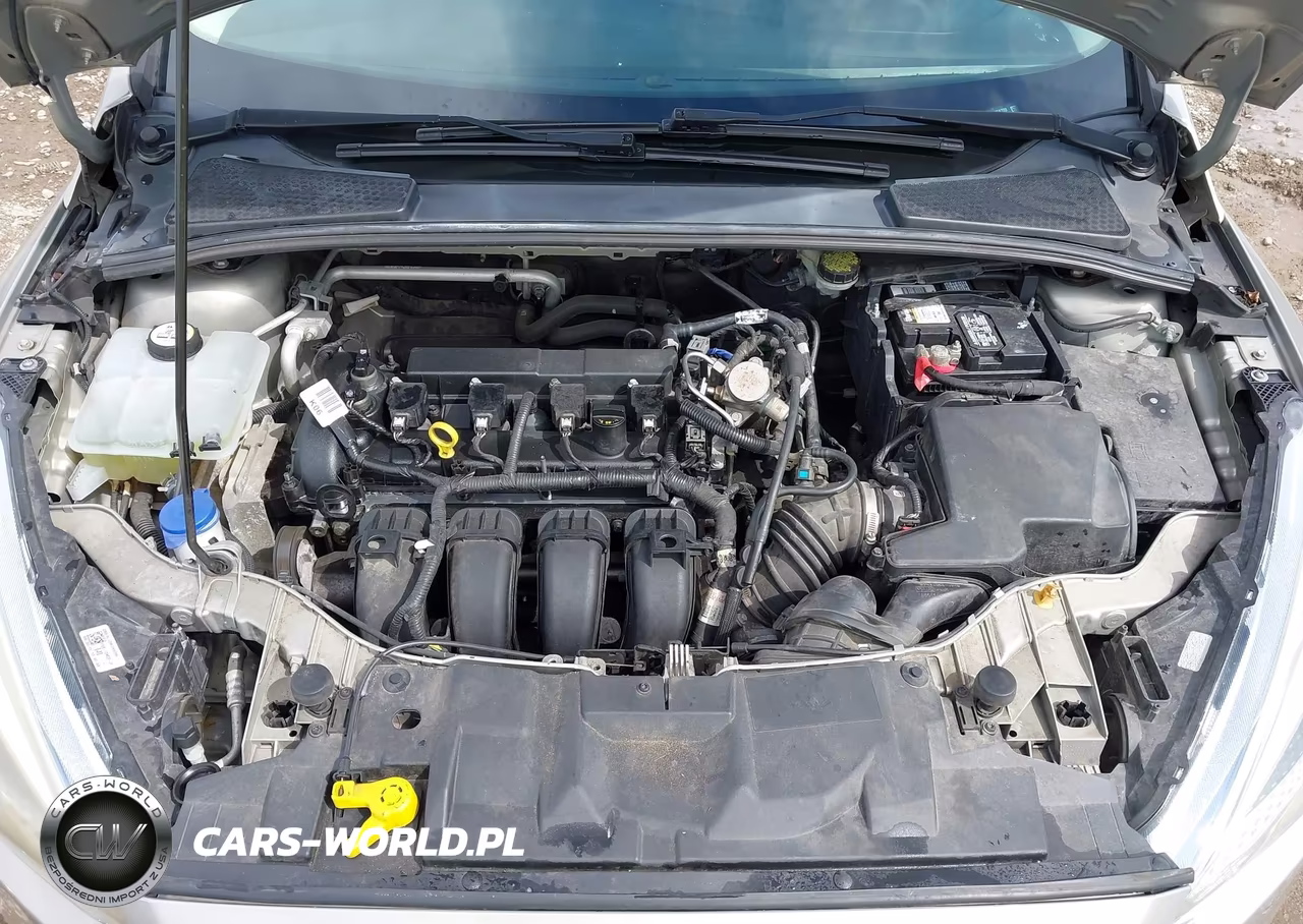 2016 Ford Focus Se VIN:1FADP3K29GL358709 - 10