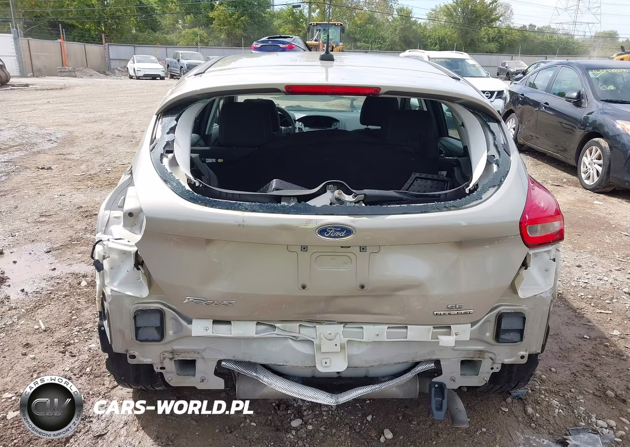 2016 Ford Focus Se VIN:1FADP3K29GL358709 - 17