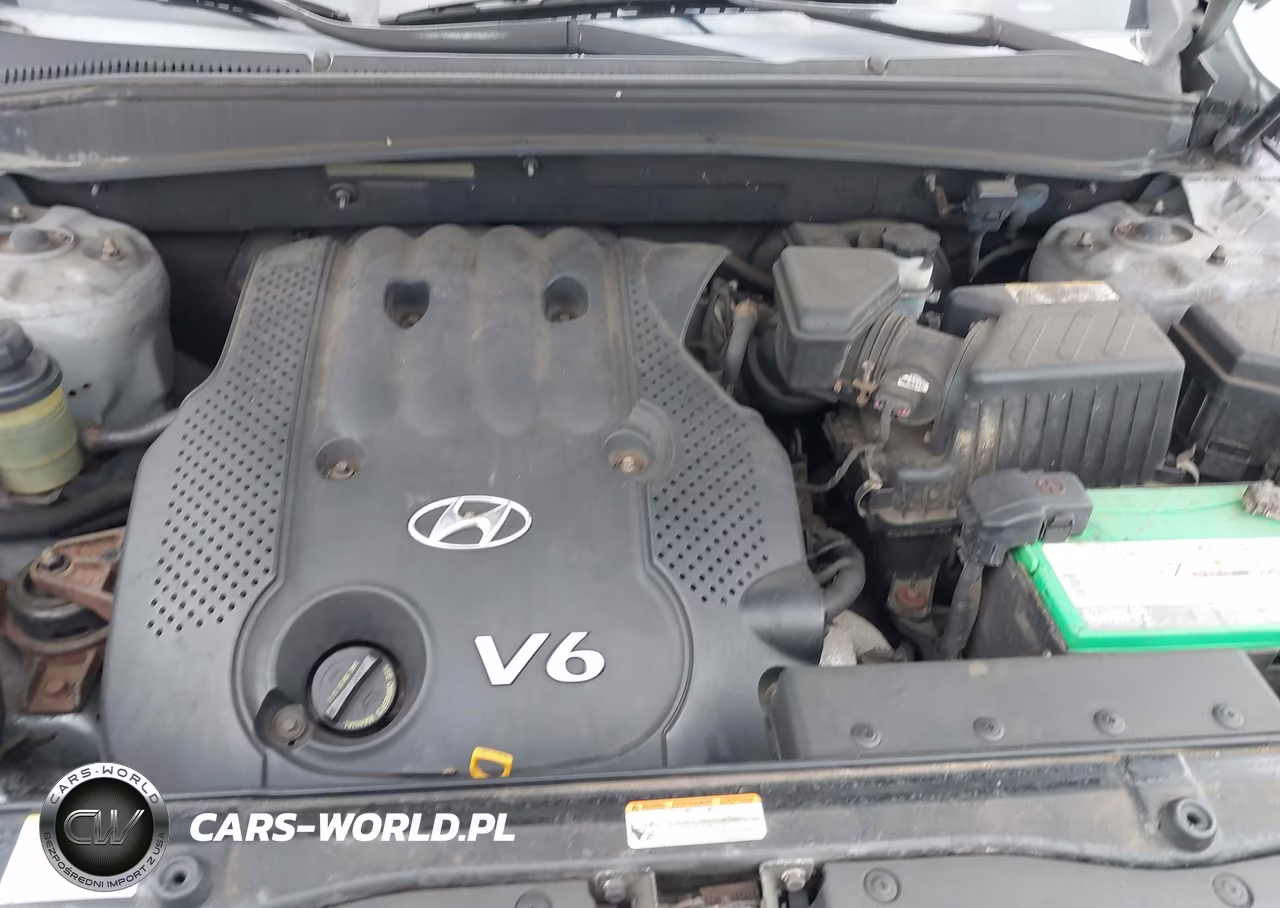2008 Hyundai Santa Fe Gls VIN:5NMSG13D48H160564 - 10