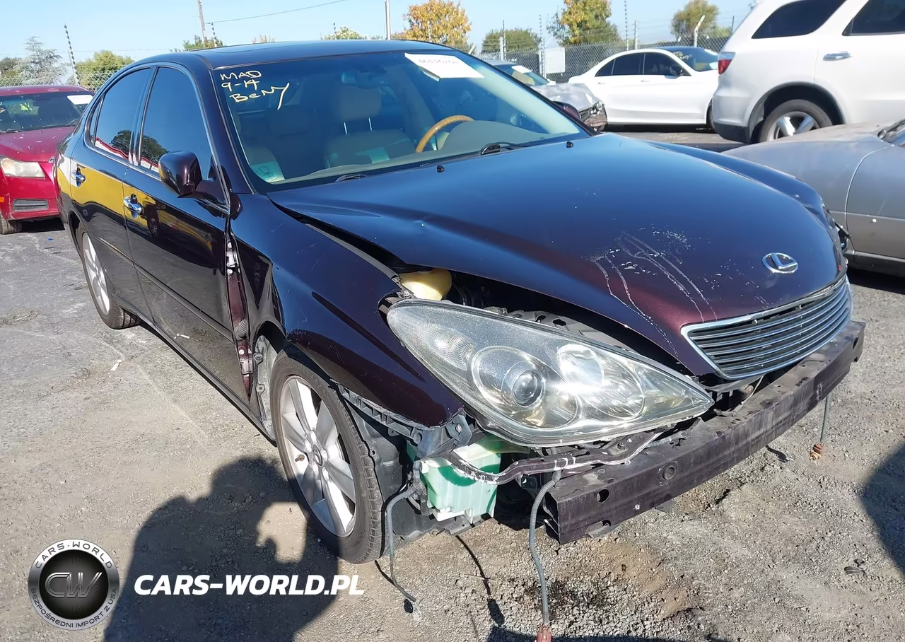 2005 Lexus Es 330 VIN:JTHBA30G055059658 - 6