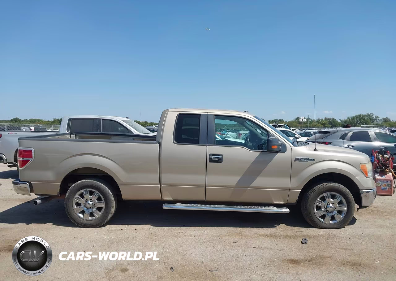 2010 Ford F-150 Fx2 Sport-Stx-Xl-Xlt VIN:1FTEX1C87AFB53918 - 13