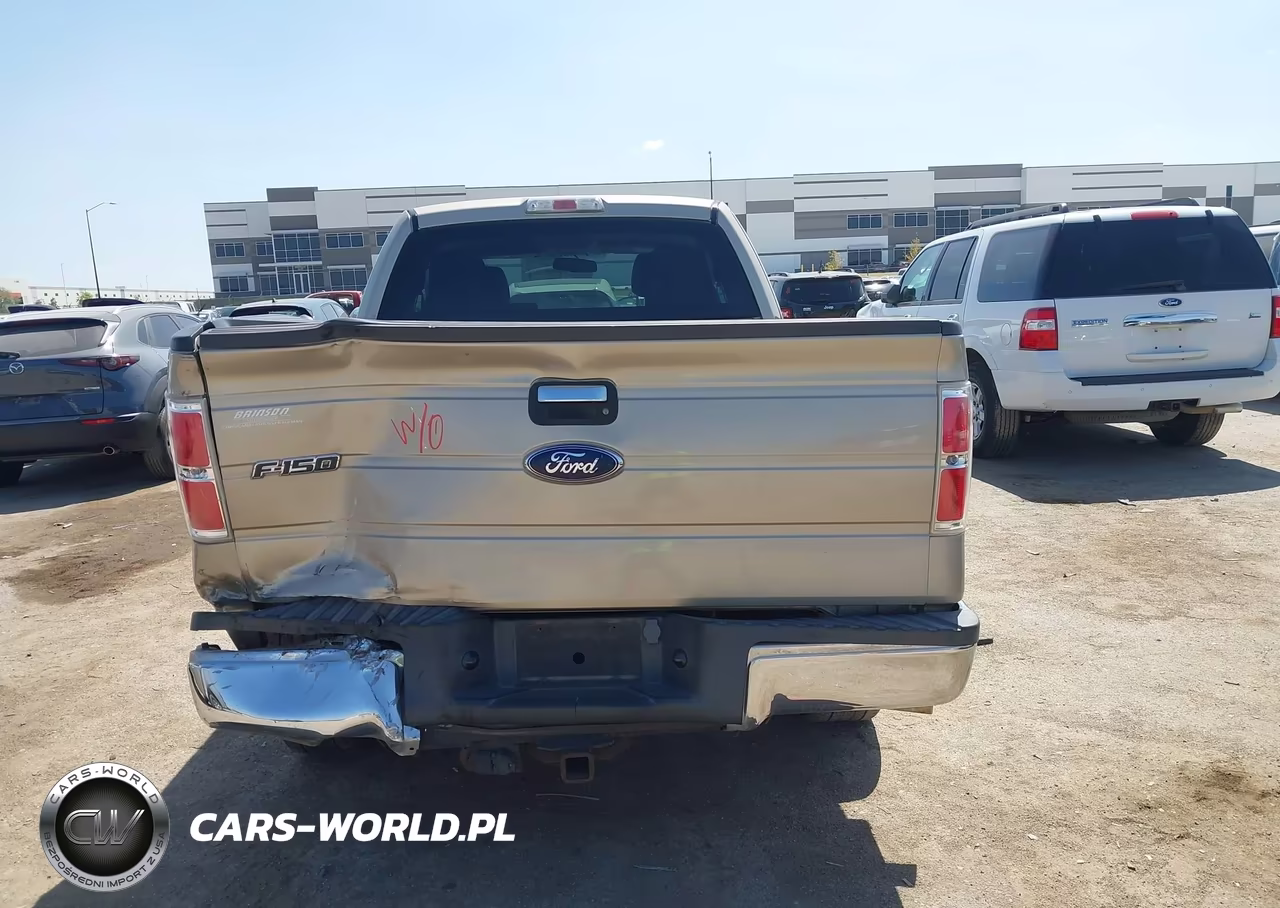2010 Ford F-150 Fx2 Sport-Stx-Xl-Xlt VIN:1FTEX1C87AFB53918 - 16