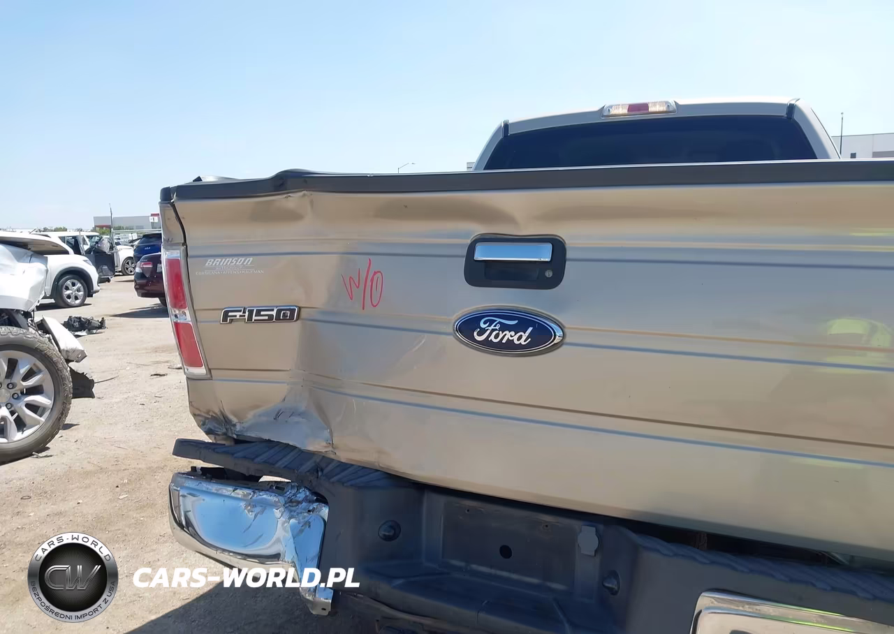 2010 Ford F-150 Fx2 Sport-Stx-Xl-Xlt VIN:1FTEX1C87AFB53918 - 6
