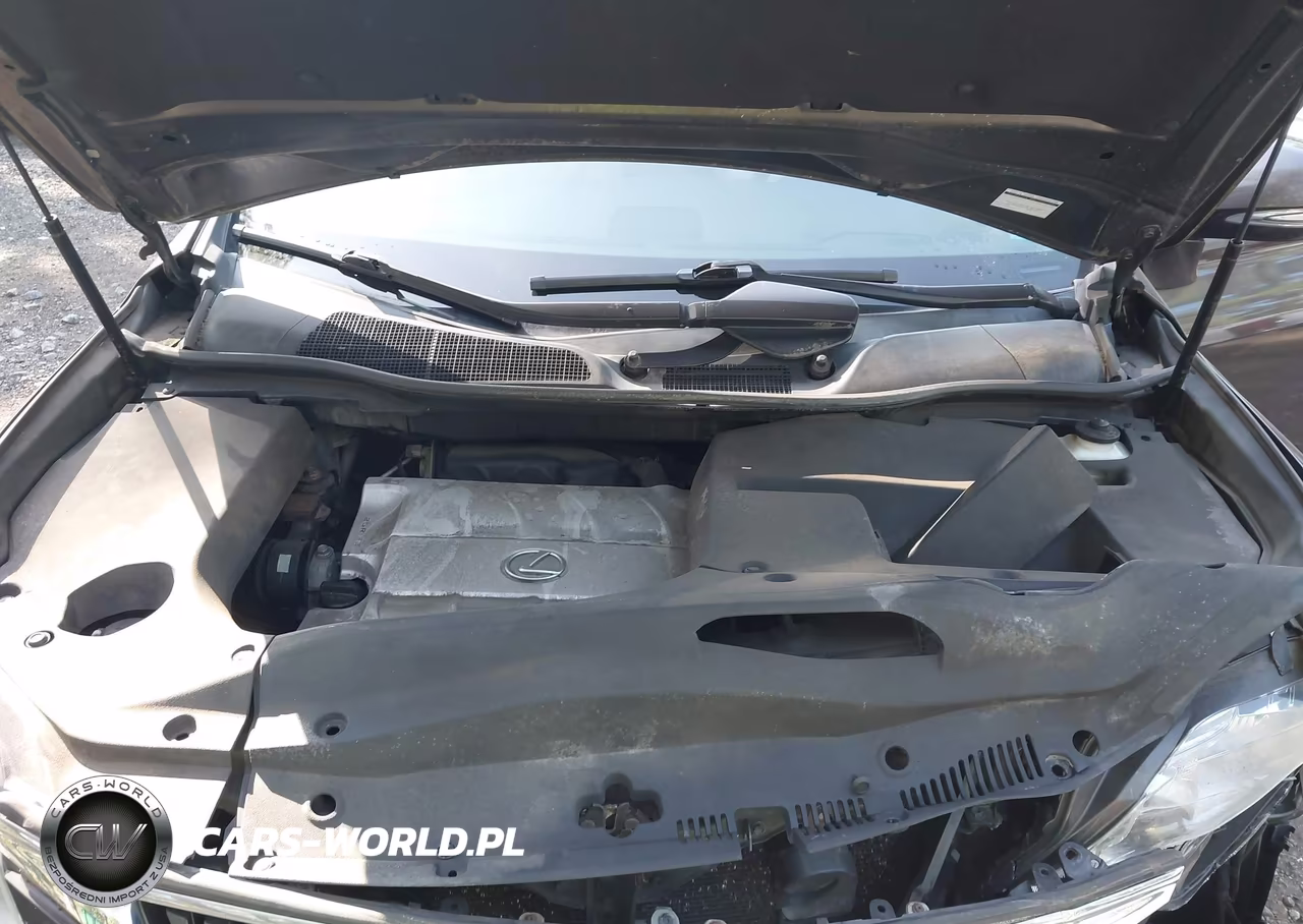 2010 Lexus Rx 350 VIN:2T2BK1BA8AC067995 - 10