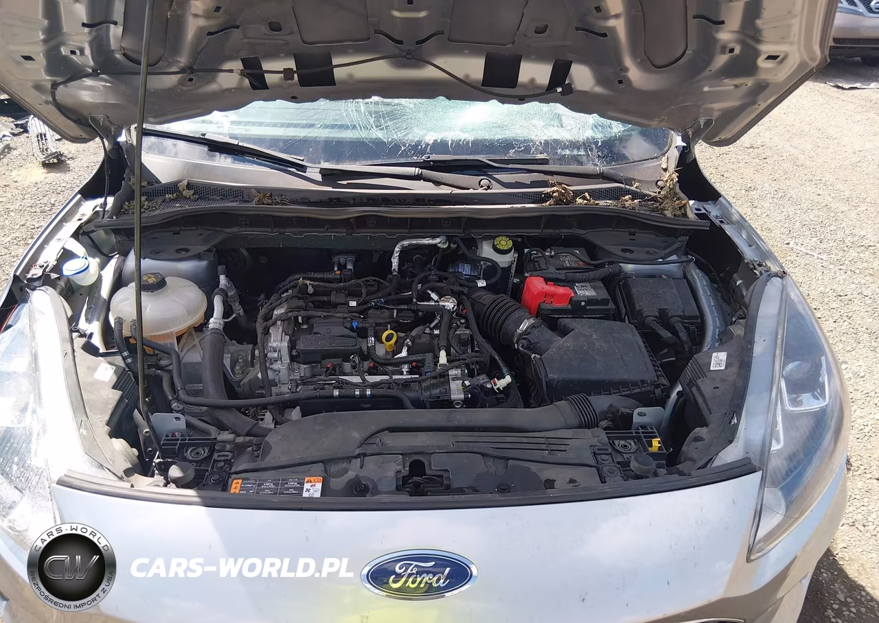 2021 Ford Escape Sel VIN:1FMCU0H62MUB05031 - 10