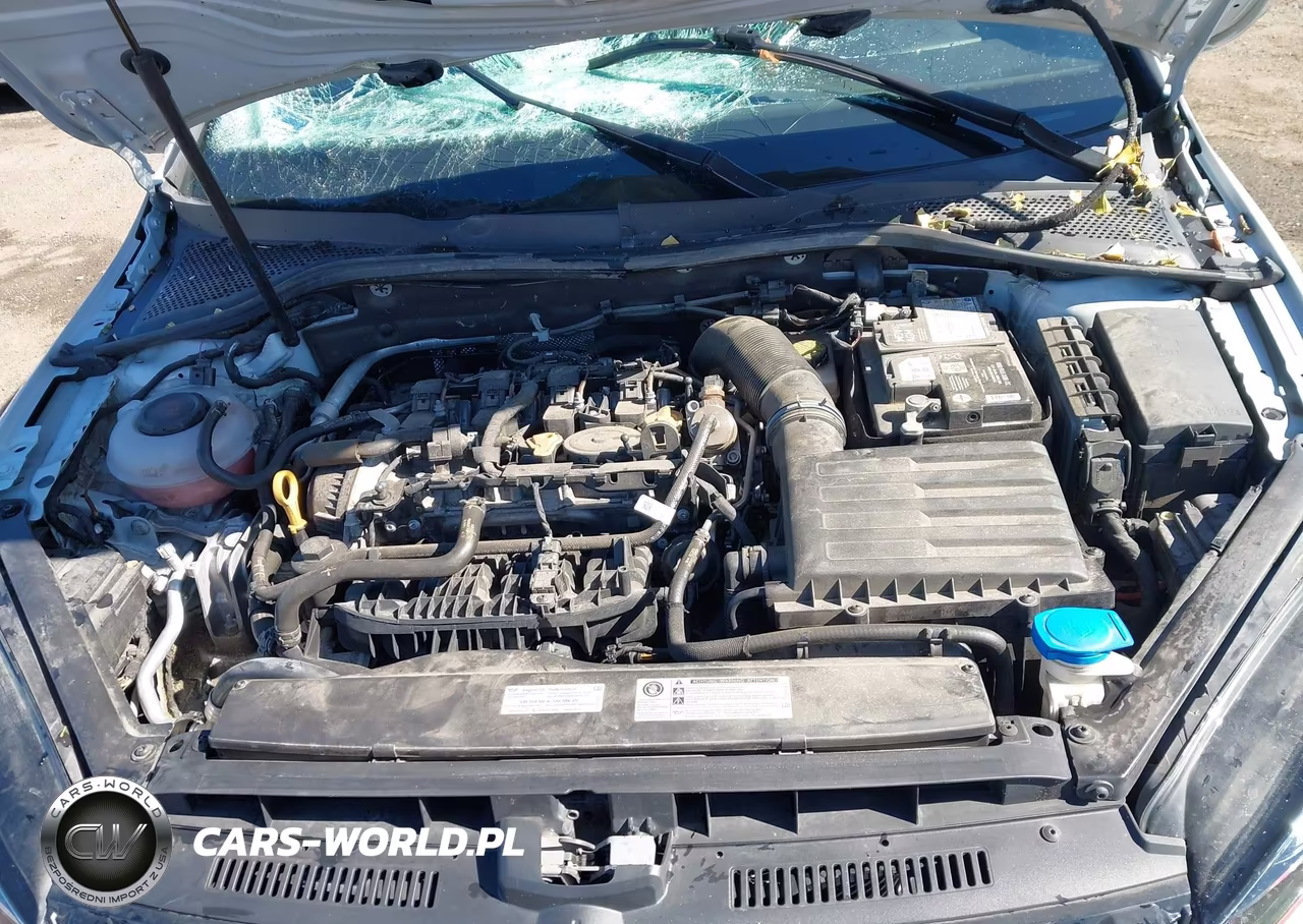 2019 Volkswagen Golf Gti 2.0T Autobahn-2.0T Rabbit Edition-2.0T S-2.0T Se VIN:3VW6T7AU2KM001661 - 10