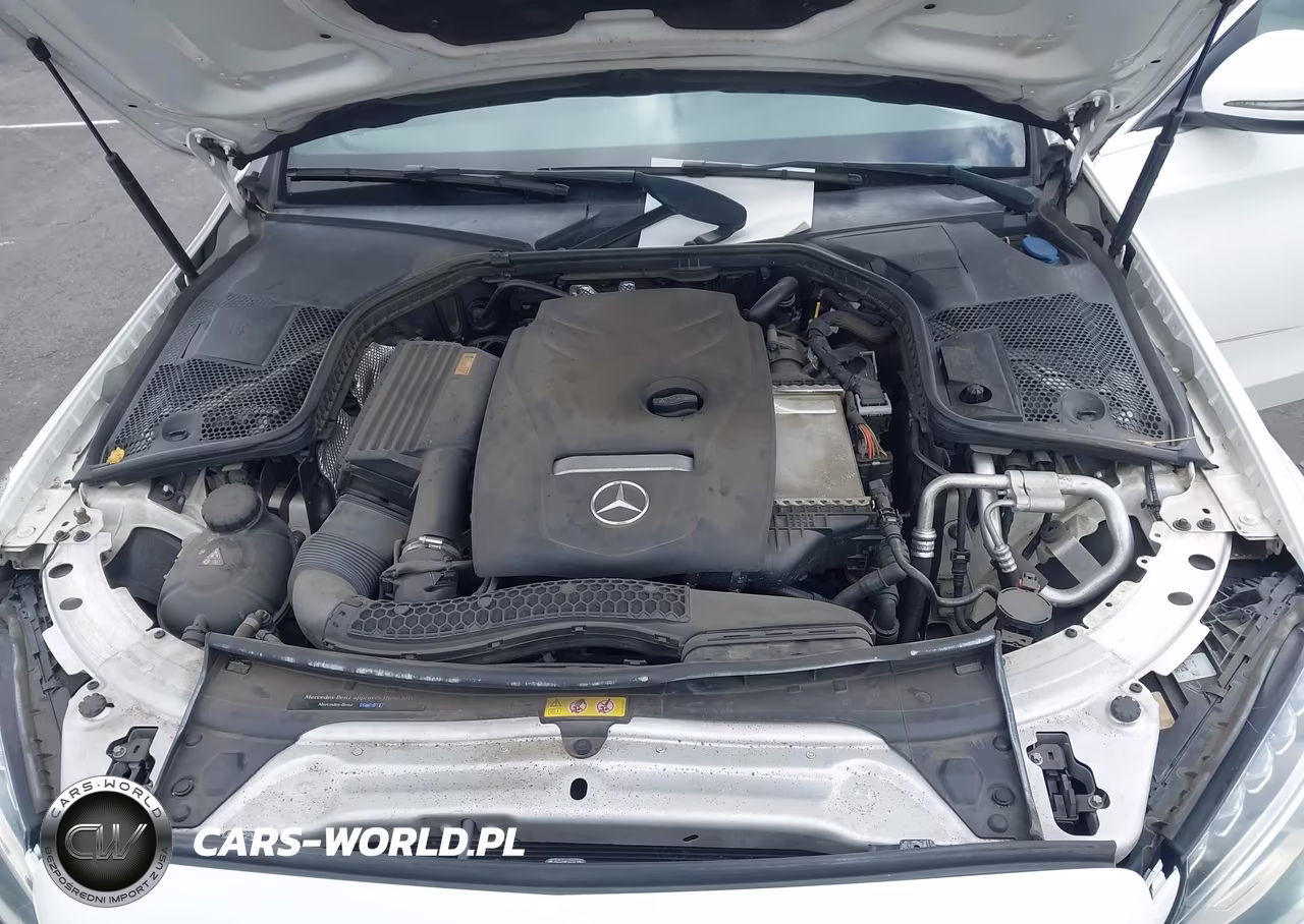 2018 Mercedes-Benz C 300 4Matic VIN:55SWF4KB4JU239860 - 10