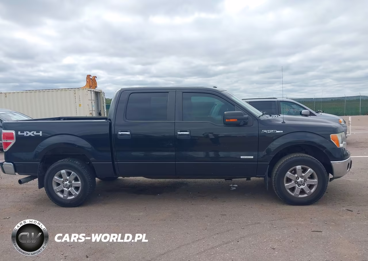 2014 Ford F-150 Xlt VIN:1FTFW1ET1EFC71221 - 13