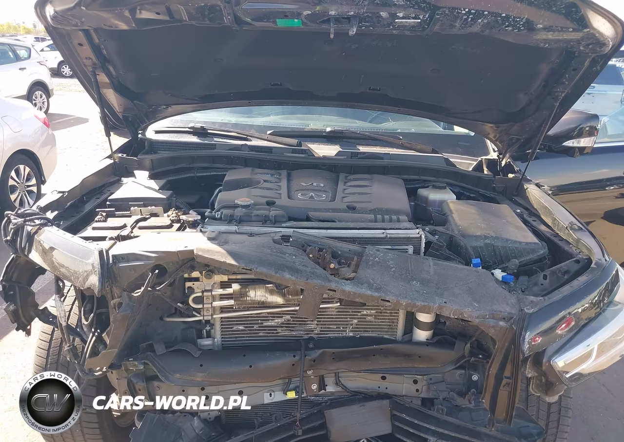 2019 Infiniti Qx80 Luxe VIN:JN8AZ2NF5K9680242 - 10