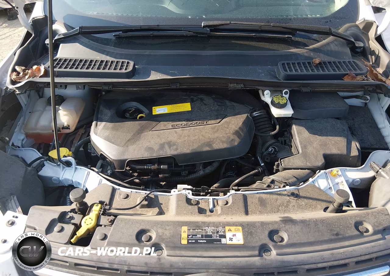 2015 Ford Escape Se VIN:1FMCU0GX2FUB24563 - 10