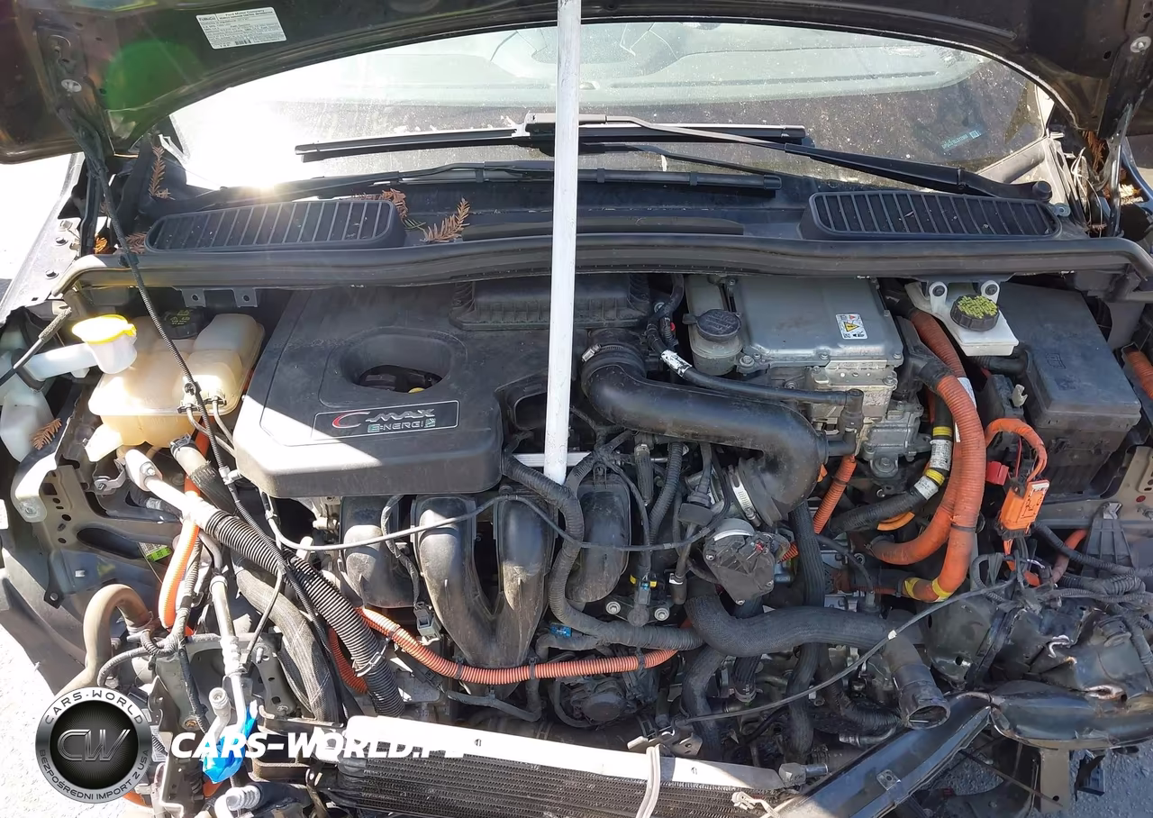 2014 Ford C-Max Premium VIN:1FADP5CU1EL512998 - 10