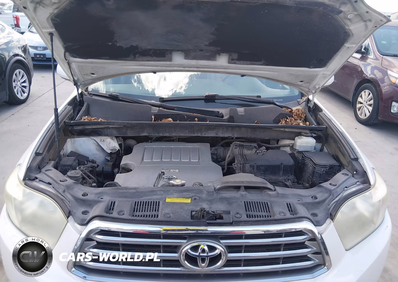 2010 Toyota Highlander Limited V6 VIN:5TDYK3EHXAS009638 - 10