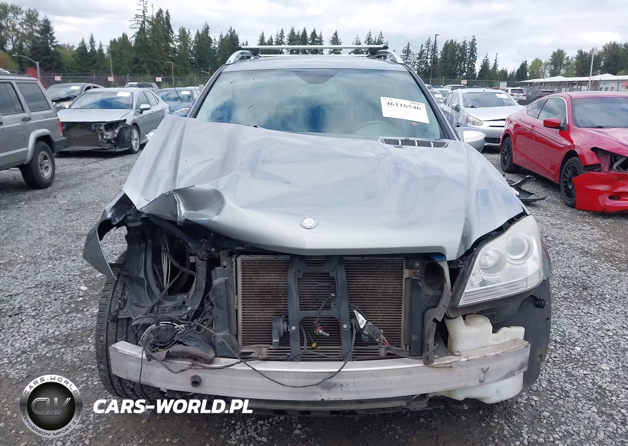 2010 Mercedes-Benz Gl 450 4Matic VIN:4JGBF7BE0AA619780 - 13