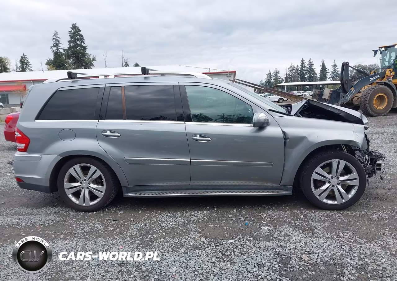 2010 Mercedes-Benz Gl 450 4Matic VIN:4JGBF7BE0AA619780 - 14