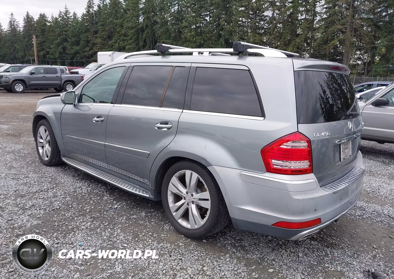 2010 Mercedes-Benz Gl 450 4Matic VIN:4JGBF7BE0AA619780 - 3