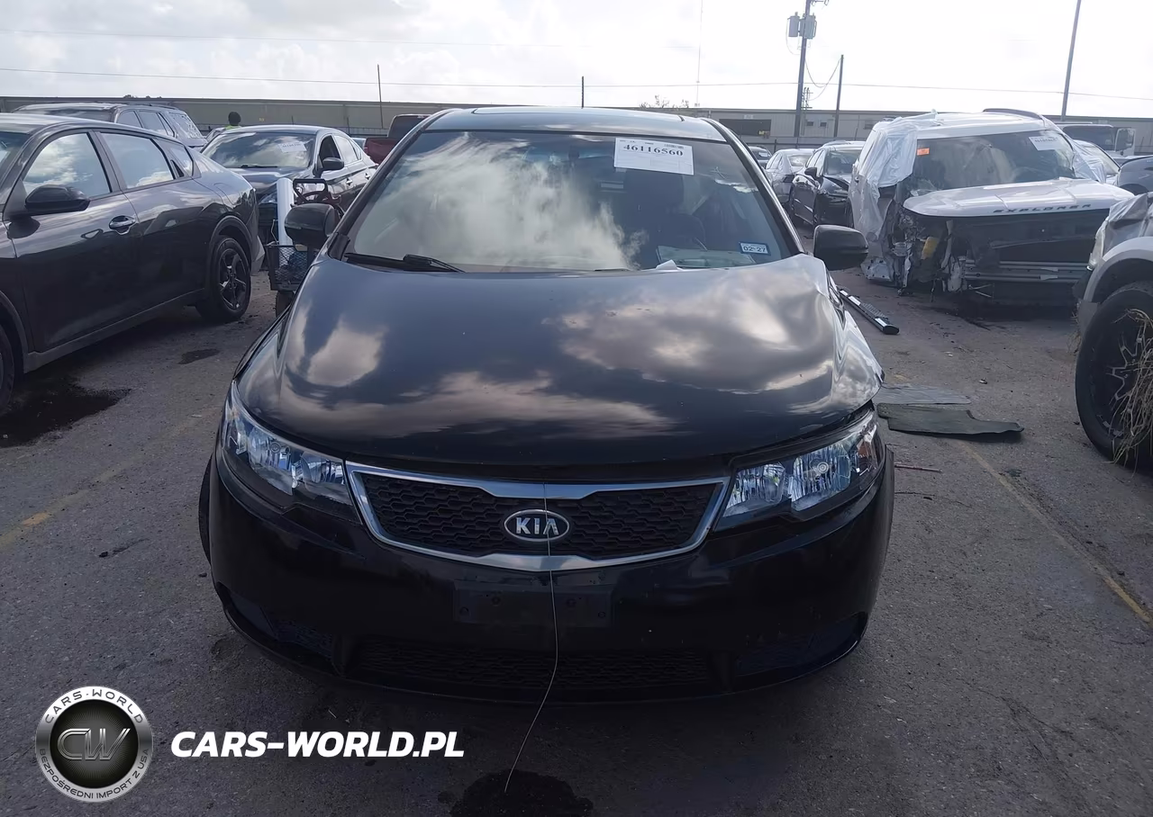 2012 Kia Forte Ex VIN:KNAFU5A20C5643240 - 12