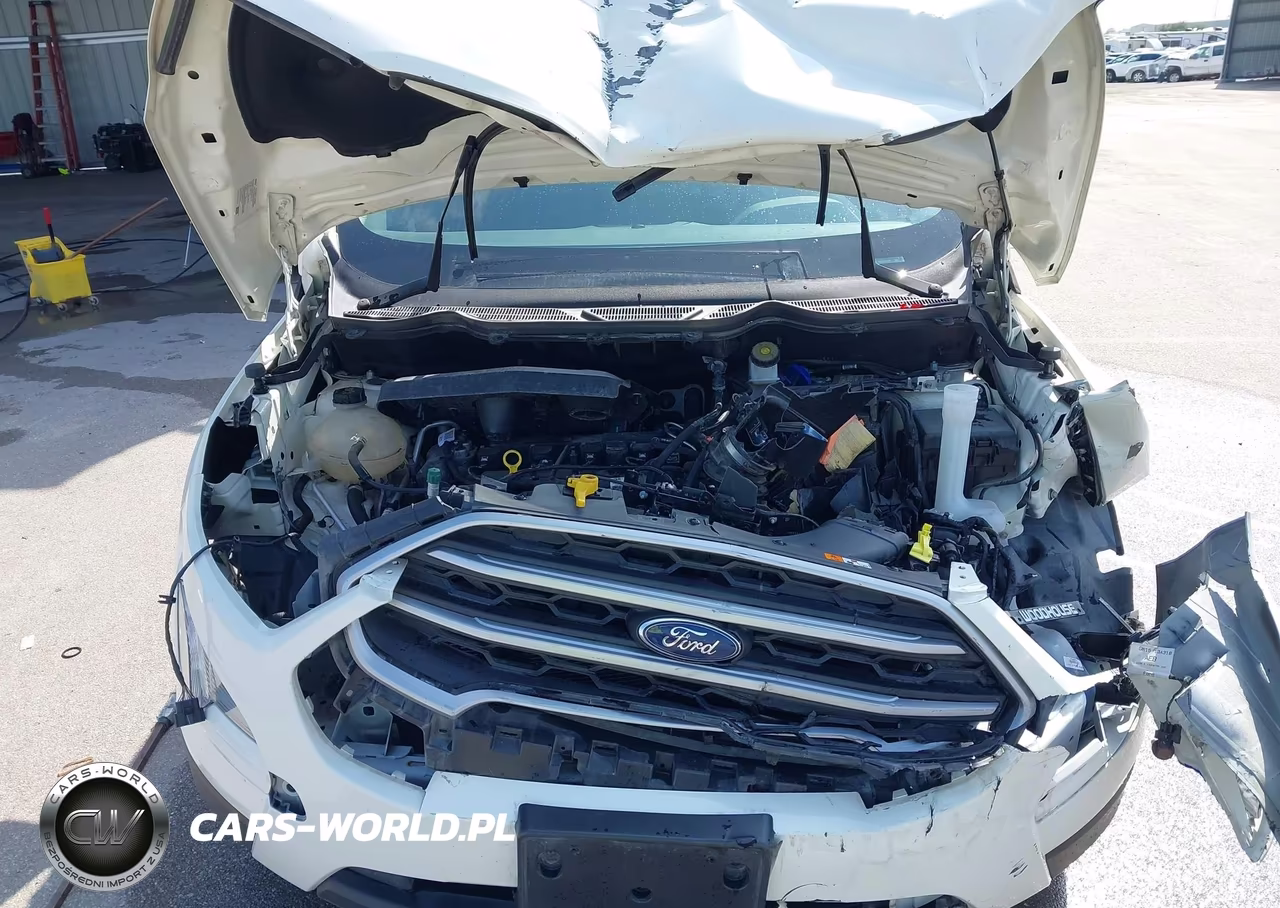 2021 Ford Ecosport Se VIN:MAJ6S3GL1MC400889 - 10