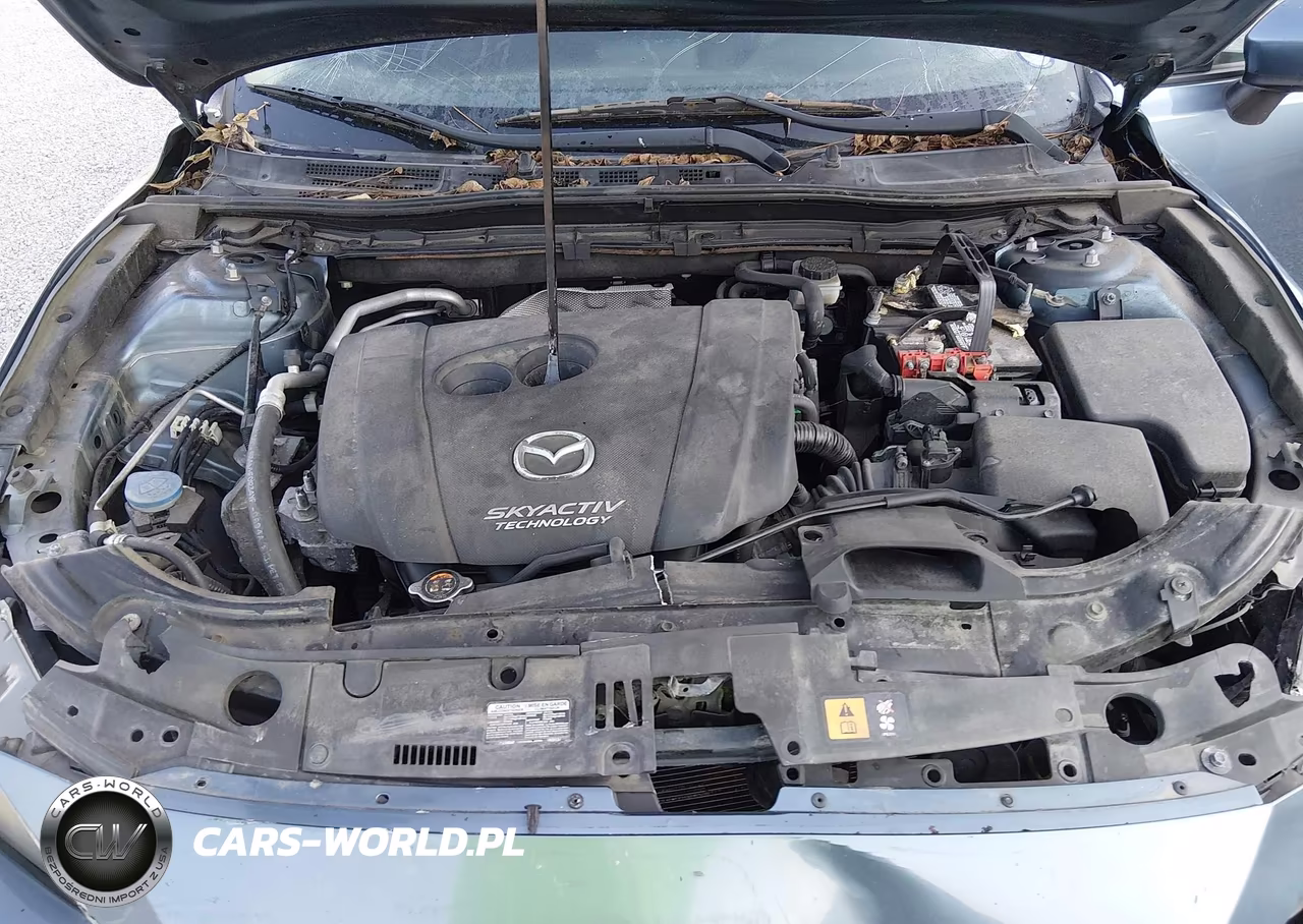 2014 Mazda Mazda3 I Sport VIN:JM1BM1U76E1216866 - 10