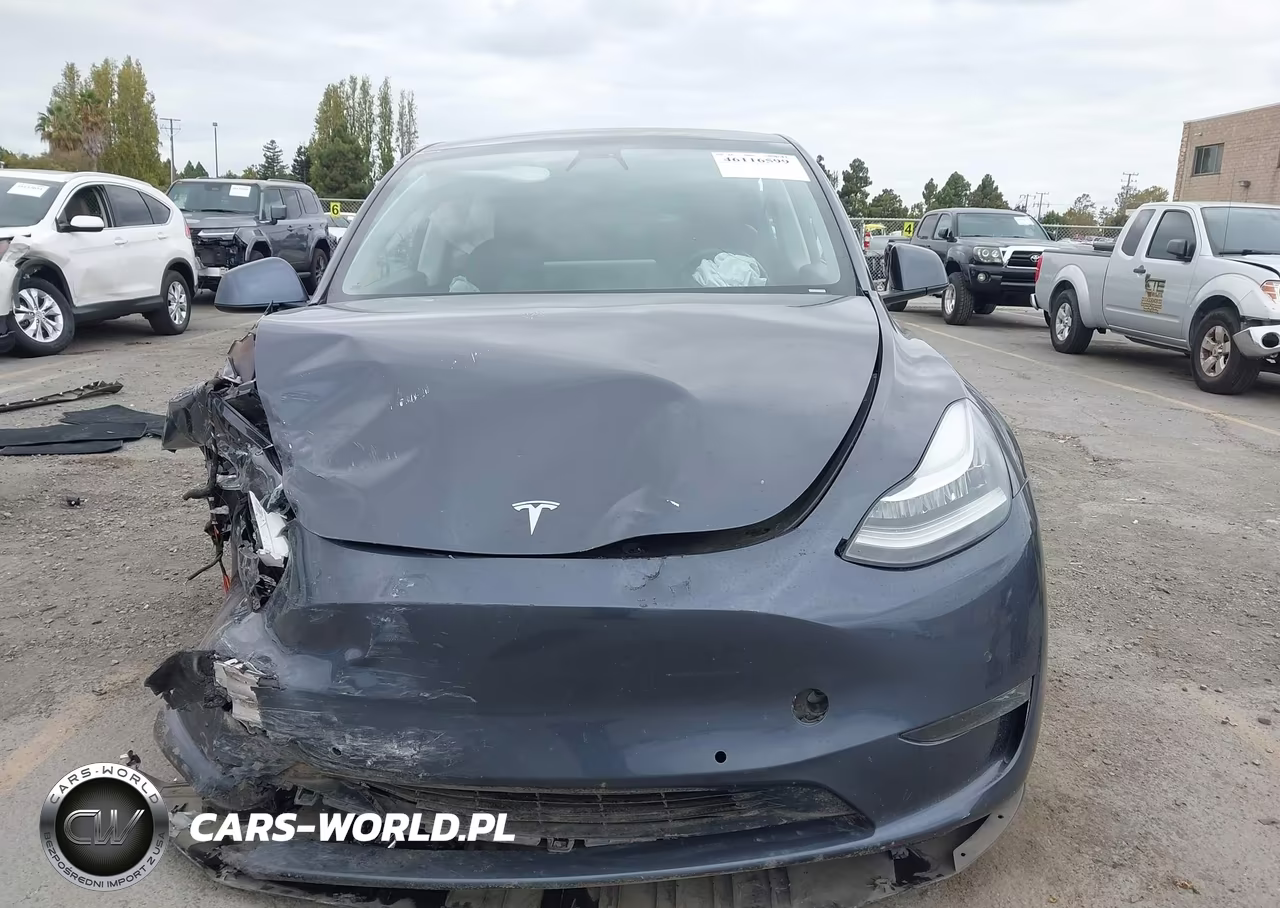 2022 Tesla Model Y Long Range Dual Motor All-Wheel Drive VIN:7SAYGDEE5NF341559 - 11