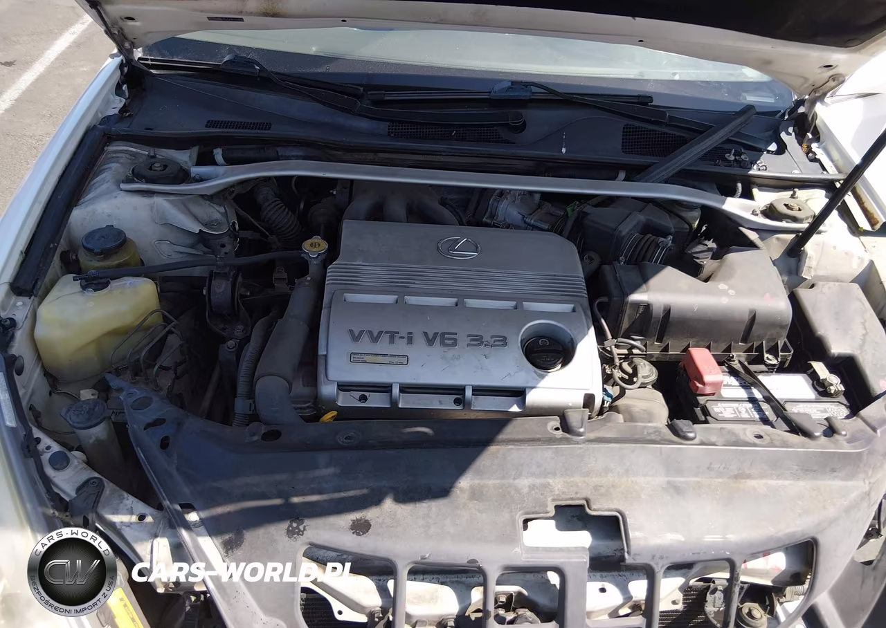 2004 Lexus Es 330 VIN:JTHBA30G445026743 - 10
