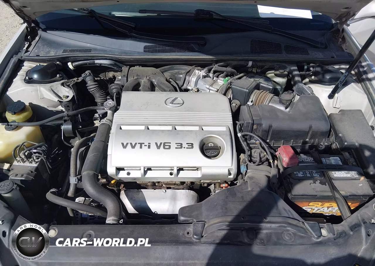 2004 Lexus Es 330 VIN:JTHBA30G040014506 - 10