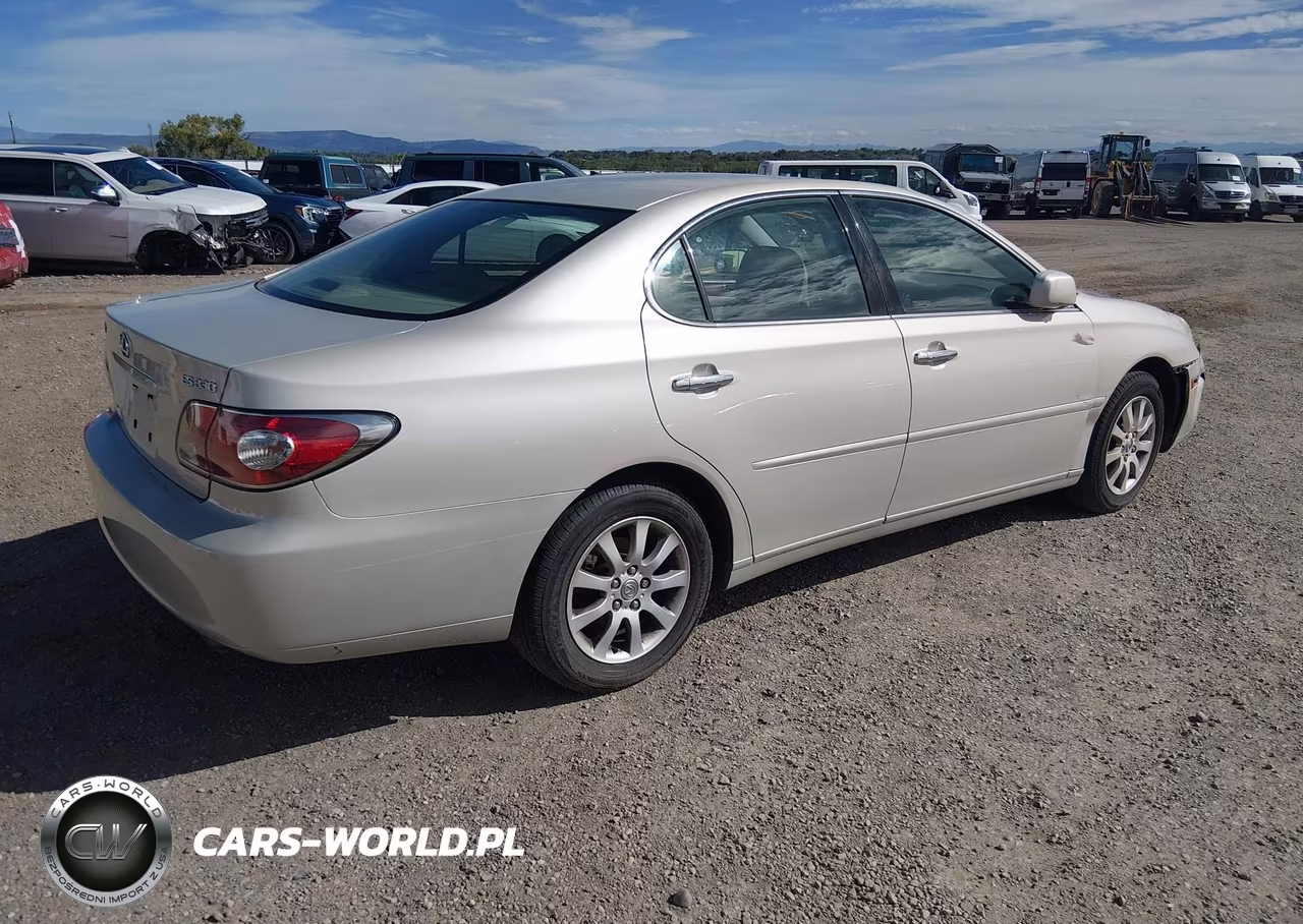 2004 Lexus Es 330 VIN:JTHBA30G040014506 - 4