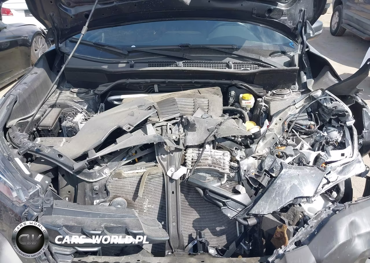 2024 Subaru Forester Wilderness VIN:JF2SKAJC1RH436485 - 10